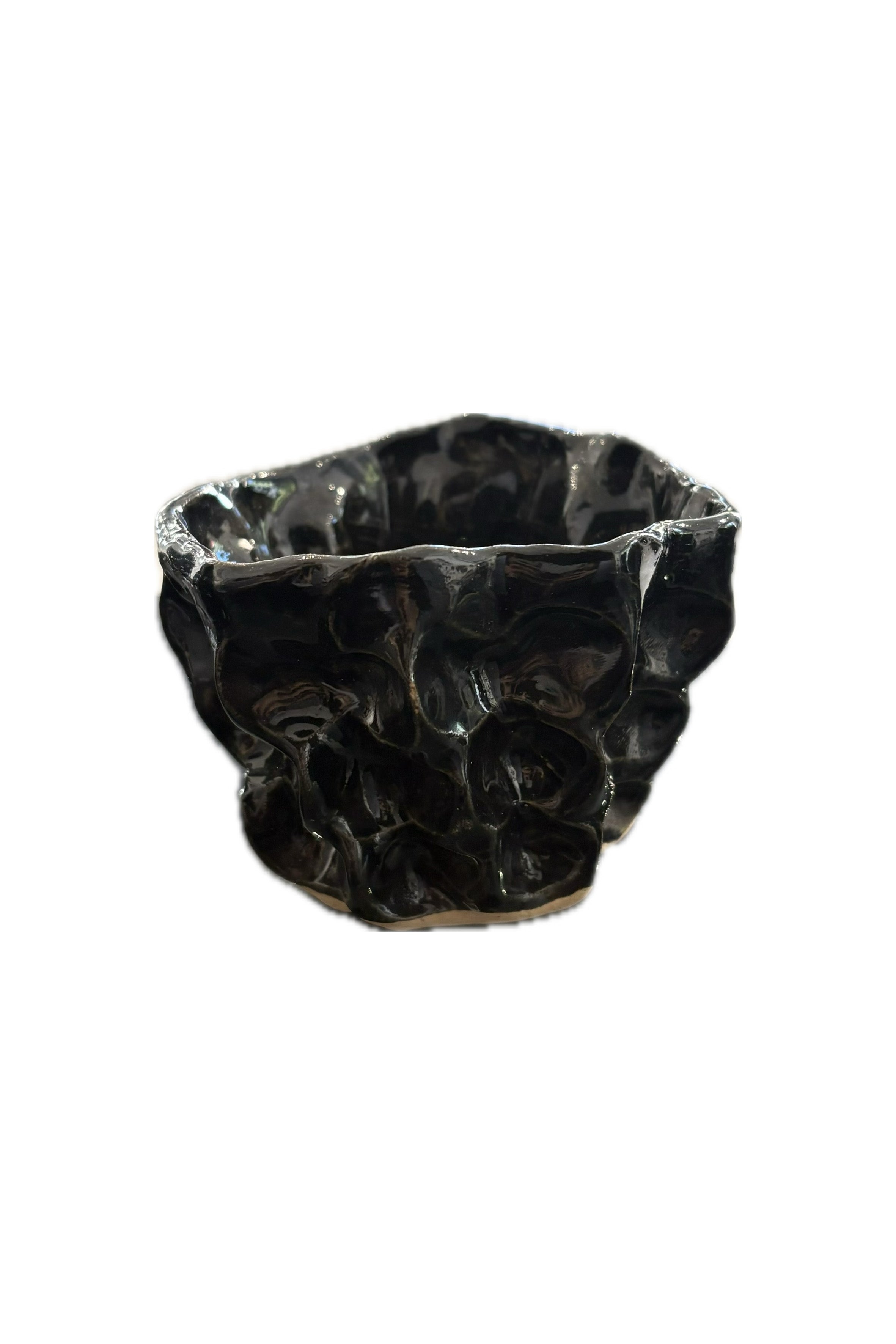 MOREL CUP Small